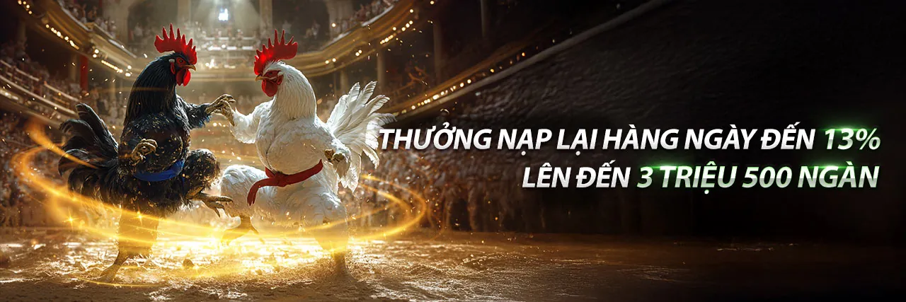 Đá Gà Trực Tuyến Hàng Đầu tại cg79 ios